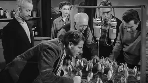 Задник до фильму"Щось з іншого світу" #266025