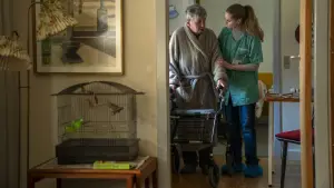 Задник до фильму"" #660222