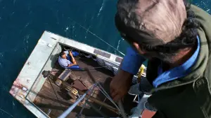 Задник до фильму"Щелепи" #521052