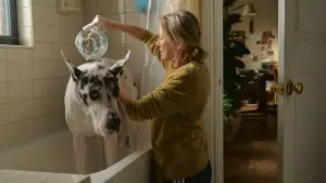 Задник до фильму"Друг" #589072