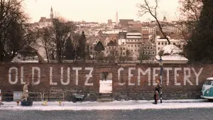 Задник до фильму"Готель «Ґранд Будапешт»" #651454