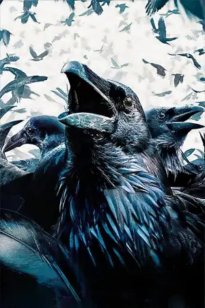 Постер до фильму"Птахи" #677258