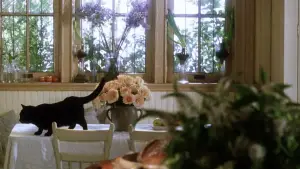 Задник до фильму"Практична магія" #697215