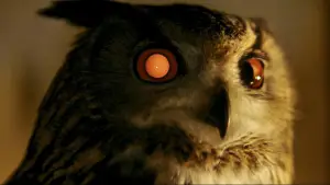 Задник до фильму"Той, хто біжить по лезу" #563479