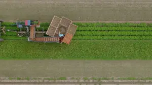 Задник до фильму"" #367446