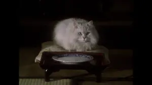 Задник до фильму"" #221288