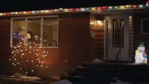 Задник до фильму"Однієї тихої ночі" #509627