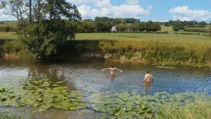 Задник до фильму"" #536393