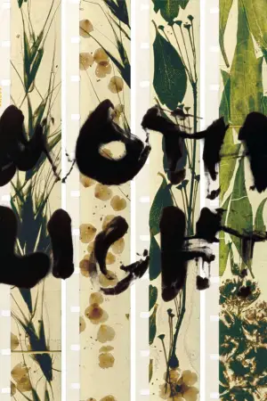 Постер до фільму "Метеликове світло"