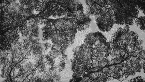 Задник до фильму"Ідеальні дні" #529659