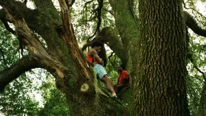 Задник до фильму"" #377424