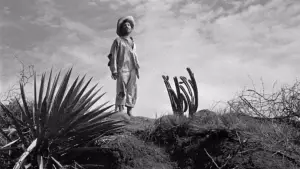 Задник до фильму"Скарби Сьєрра-Мадре" #751651