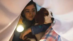 Задник до фильму"Подорож хорошого пса" #179259