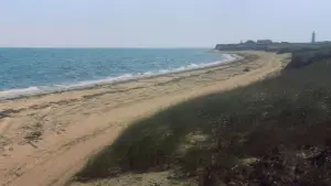 Задник до фильму"Щелепи" #768246