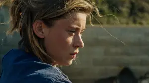 Задник до фильму"" #732019