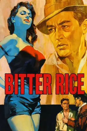 Riso amaro