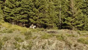 Задник до фильму"" #500370