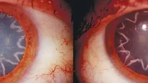 Задник до фильму"" #737715