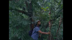 Задник до фильму"" #415689