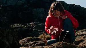 Задник до фильму"" #382760