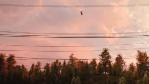 Задник до фильму"Людина-павук: Додому шляху нема" #525383