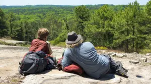 Задник до фильму"Лісова прогулянка" #305759