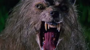 Задник до фильму"" #424492