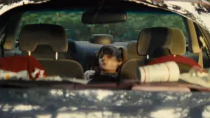 Задник до фильму"What Are Grandchildren Made Of?" #778336