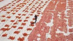 Задник до фильму"" #737160