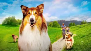 Задник до фильму"Lassie - Ein neues Abenteuer" #760300