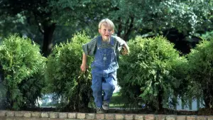 Задник до фильму"Денніс-мучитель" #805076