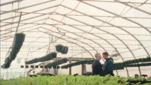 Задник до фильму"" #523230