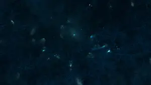 Задник до фильму"Рішення піти" #653655