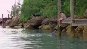 Задник до фильму"Мій друг дельфін Ехо" #501267