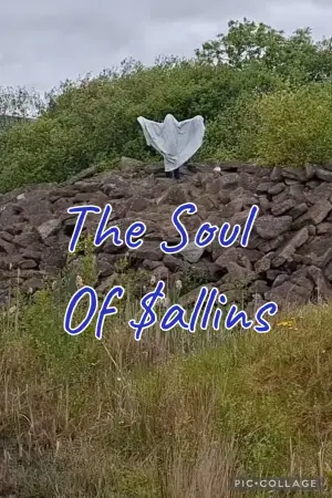 Постер до фильму"The Soul Of Sallins" #824439