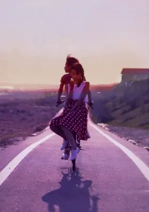 Fireworks, Should We See It from the Side or the Bottom?