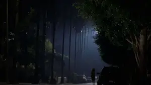 Задник до фильму"Малголланд Драйв" #608672