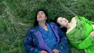 Задник до фильму"Будинок літаючих кинджалів" #809663