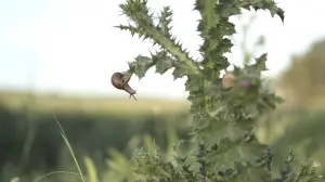 Задник до фильму"" #418439