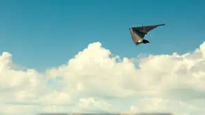 Задник до фильму"You Can