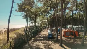 Задник до фильму"Le camping, un siècle de bonheur français" #929548