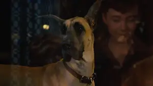 Задник до фильму"Мармадюк" #616777