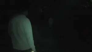 Задник до фильму"" #695801