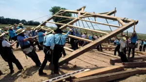 Задник до фильму"Свідок" #241108