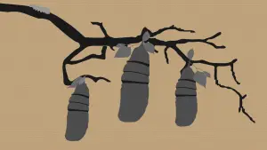 Задник до фильму"Reel #1: Surfing with Butterflies" #773463