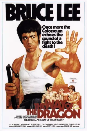 Постер до фильму"Шлях дракона" #745728