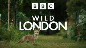 Wild London