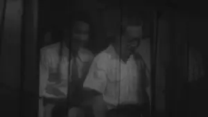 Задник до фильму"Безпритульний пес" #941231