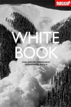 Постер до фільму "Whitebook"