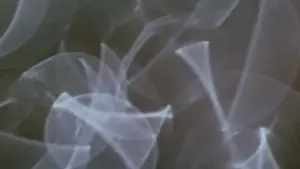 Задник до фильму"Змішані контейнери" #706787